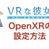 VRな彼女のOpenXR設定方法
